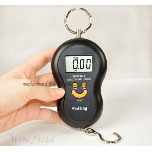 ABS Plastic Hanging Gram Scale , Units Conversion Handheld Luggage Scale