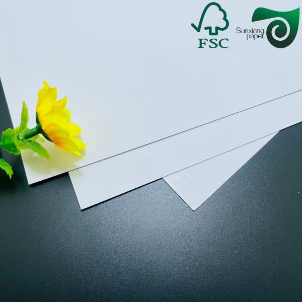 Buy 250gsm FSC High Brightness Glossy Text Cover Paper 610mm 860mm With Excellent Printability at wholesale prices