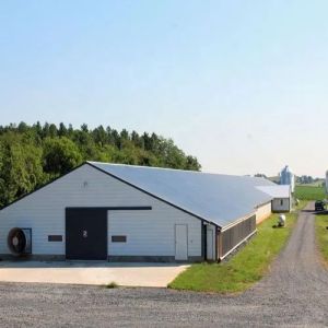 Poultry House Prefabricated Steel Structure Poultry House With Sandwich Panel