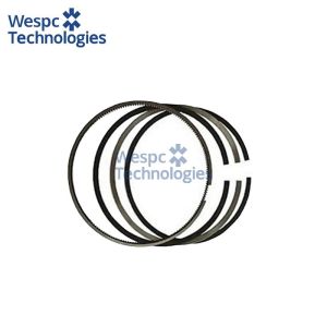 WESPC 4181A009 piston ring kit for Perkins A4.248 and 4.248 LF diesel engines