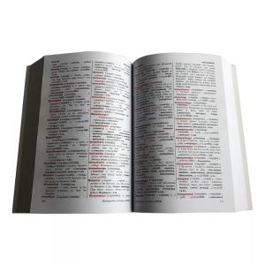 Paperboard Printable English Dictionary Offset Education Book Printing