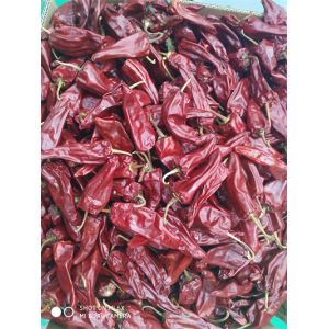 New Crop Yidu Dried Chili With Stem HACCP Certification