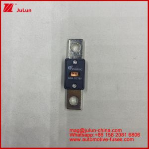 EV320 5X 5C plate-type bolt connection Transparent window fuse 80A 100A 125A