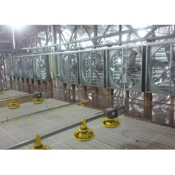 OEM ODM Chicken Farm Equipment Poultry Farming Drinker And Feeder