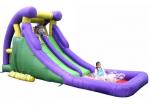 Kids Or Adults Commercial Inflatable Water Slides Eco - Friendly Material