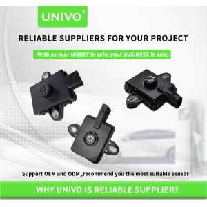 UBHL-PY Vehicle Hydrogen Leakage Sensor For Fuel Vehicle Concentration Detection