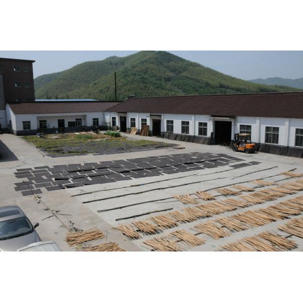 Elegant Natural Bamboo Roll Up Window Blind With Israel Sukkot Raffia