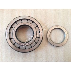 China Cylindrical Roller Bearing NUPG309VH/C3 on sale