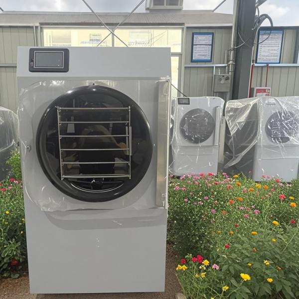 Mini Dry Freezer Machine For Versatile Freeze Drying