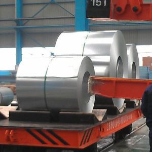 1200mm width Hot dipped Galvanized Steel Coil