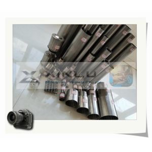 Pharmaceutical Welding Stainless Steel Pipe V Wire Welded Tubes