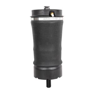 China Air Suspension Spring For Land Rover Vogue L322 RKB500082 RKB500080 RKB000151 Rear Left And Right on sale