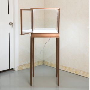 Multifunctional Jewelry Display Showcase / Necklace Display Stand For Luxury