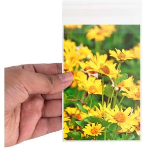 OPP Plastic Packaging Treat Bags Disposable With Self Adhesive Seal