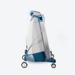 80w Wrinkle Acne Remover Portable Fractional Rf Microneedle Machine