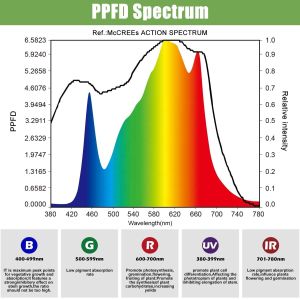 600w LED Quantum Boards Lm301b 3500k Grow Light Aluminum Heat Sink