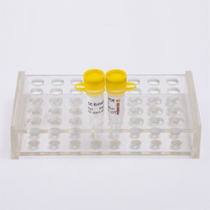 Quality DNase I, RNase-Free Molecular Tool Enzyme for sale
