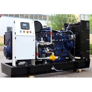 50HZ/60HZ Frequency Open Frame Gas Bio Gas Generator for Customized Requirements