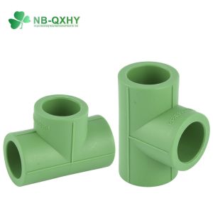 PPR Pipe Fitting Male Thread Tee with Brass Equal and Round Head Code