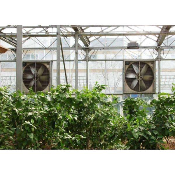 Buy 1400RPM Greenhouse Cooling System 220V / 380V Galvanized Sheet Contour Frame at wholesale prices