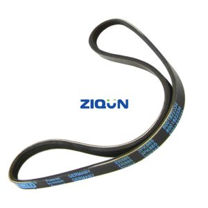 128038 Citroen Peugeot Truck Spares Parts Ribbed Belt