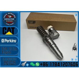 Common rail injector fuel injecto 250-1302 392-0224 250-1304 392-0225 for 3512B