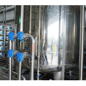 Bottling Plant Water Treatment High-Efficiency Pure Water Processing Solution