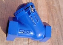 Thread End BSP NPT Ball Check Valve Ductile Iron With Epoxy Caoting Inner And