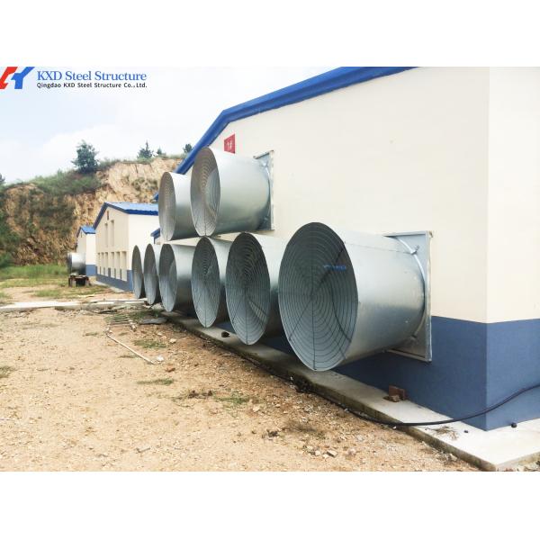 Buy Steel Structure Poultry Shed - Fully Automated Chicken Farming Equipment at wholesale prices