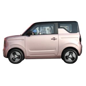 Automotive Used Mini EV Cars Electric Vehicles Geely Panda For Adult