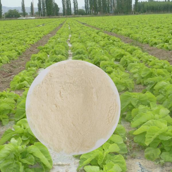 FAA Compound Amino Acids N15 Chloride Free 9012-00-4 Organic Fertilizer For Agriculture