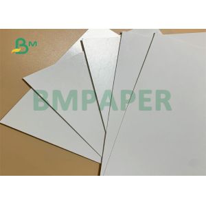 PE Coated Paper For Paper Plates 300gsm +18g PE In Roll