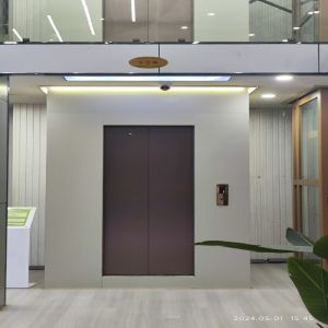 Quality Hydraulic Elevators with Well Shafts – Aluminium Frame Pitless Home Lift for sale