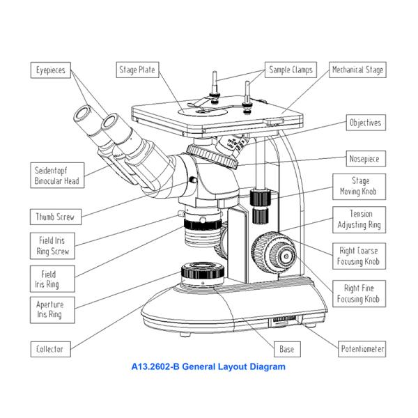 Inverted Metallurgical Optical Microscope WF10x/18mm Eyepiece Quadruple Nosepiece