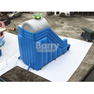 Cool Splash Fun Inflatable Pool Slide , Realistic Shape Tortoise Water Slide For