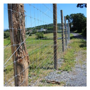 0.8-2.4m Security Fence Hot Dipped Galvanized Game Wire Farm Field Fence
