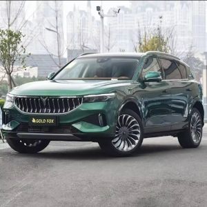 Auto Voyah 2024 Electric SUV Hybrid Speed Energy Closed Body Type Commercial