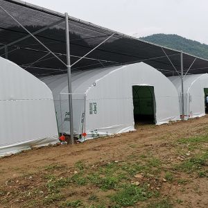 Off Season Tunnel Plastic Film Greenhouse Mushroom Greenhouse