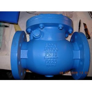 Quality BS check valve flanged ends for sale