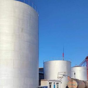 Double Walled Cryogenic Storage Tank Q345R 22bar ASME Certified