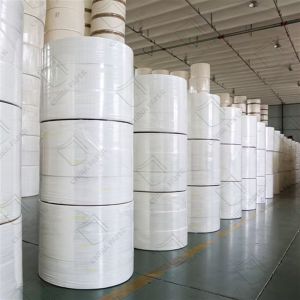 13 - 25gsm High Grade Flushable And Biodegradable Toilet Paper 1- 4ply