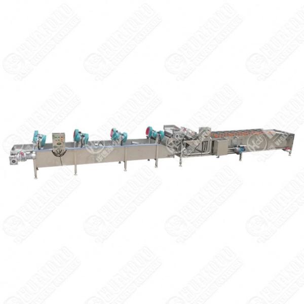 Industrial Date Packing Machine Date Palm Processing Line Date Cleaning And