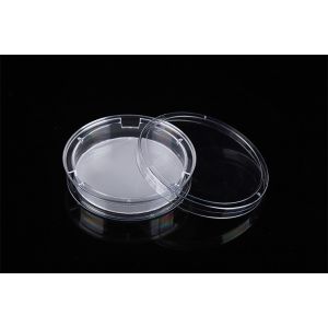 Laboratory Experiment Well Volume 2.6ml Cell Insert