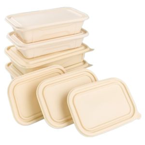 Camping And School 800ML Cornstarch Compostable Two Compartments Lunch Boxes