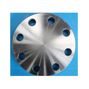 Ansi Stainless Blind DN15-2500 Forged Steel Flanges