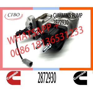 China DCEC Cummins ISZ13 QSZ13 Engine Fuel Injection Pump 4384497 2872930 on sale