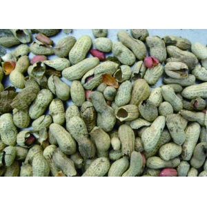 Full Color RGB Camera Peanut With Shell Color Sorter Peanut Sorting Machine