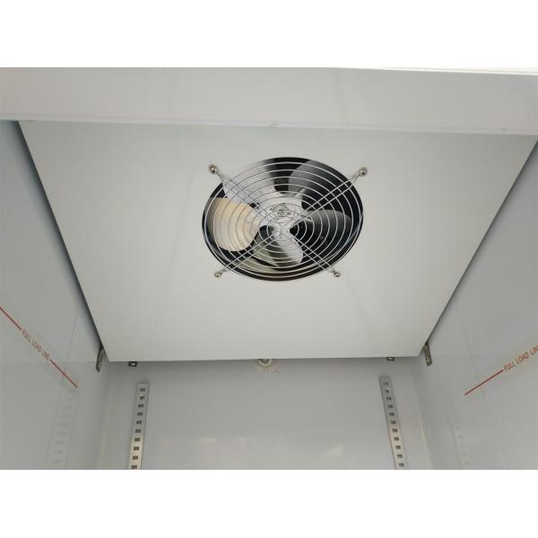 220V Voltage Upright Glass Door Freezer Digital Thermostat Air Cooling R290 Refrigerant