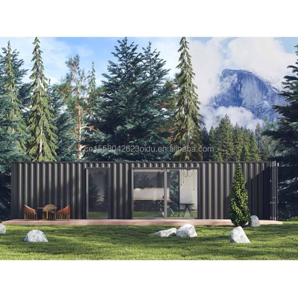 Newly Popular 40ft Modified Shipping Container with 2 Bedrooms and Aluminum Alloy Windows