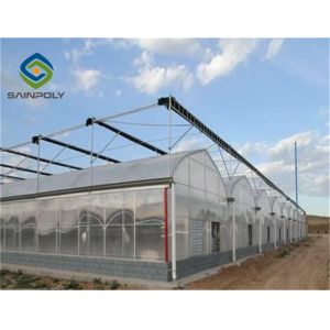 China Venlo Roof 9.6m Multi Span Greenhouse For Vegetables on sale